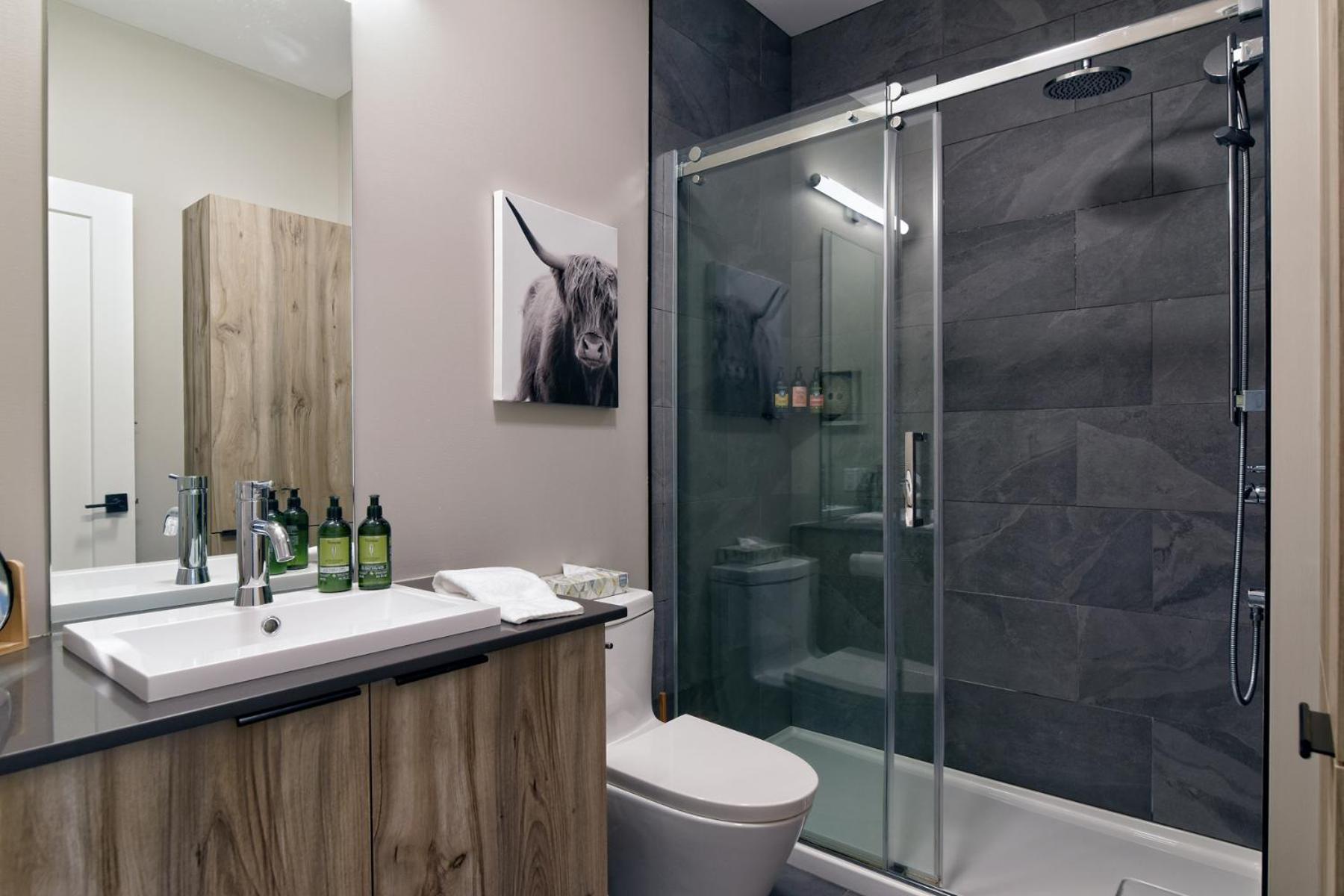 New !! Verbier Chelsea 204 Shuttle To Apartment Mont-Tremblant